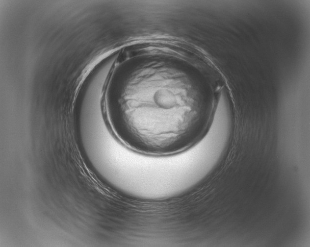 X0000085731320200703301351