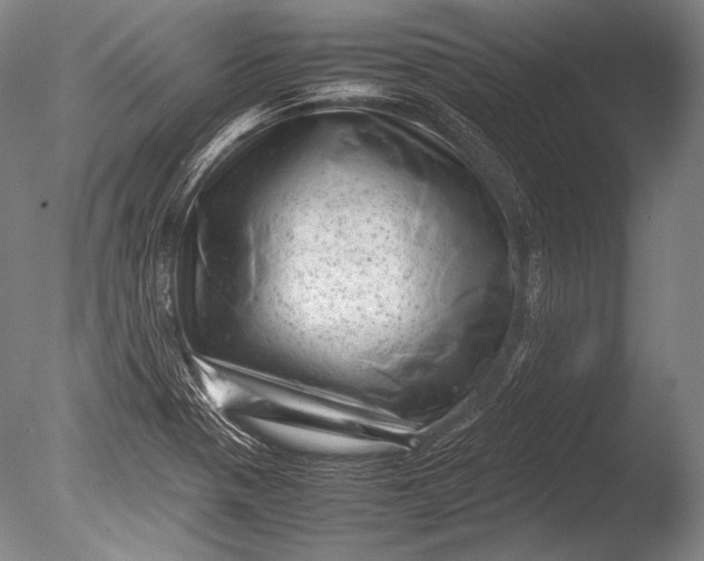 X0000085731321200703301351