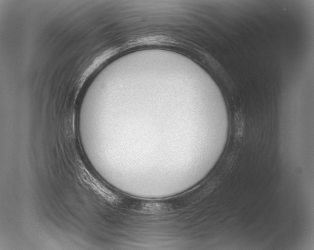 X0000085731322200703301351