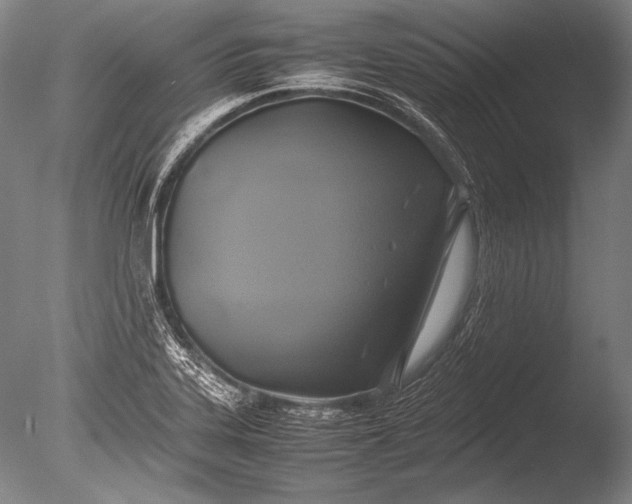 X0000085731323200703301351