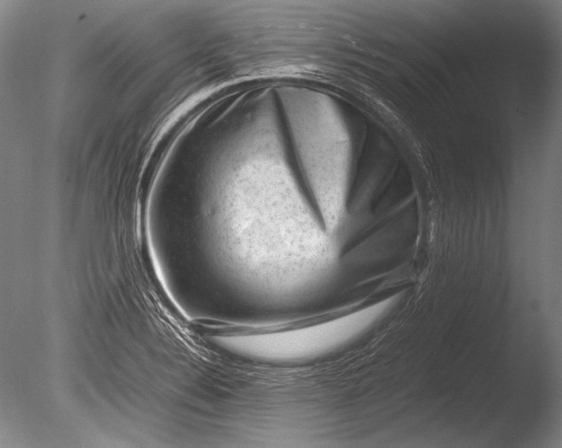 X0000085731324200703301351