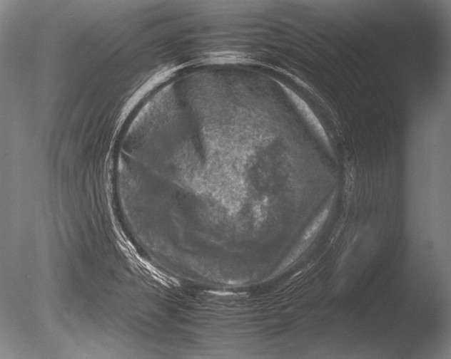 X0000085731325200703301351