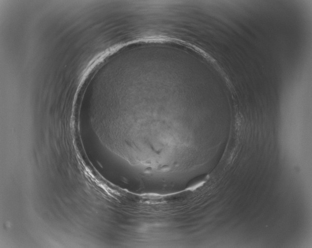 X0000085731327200703301351