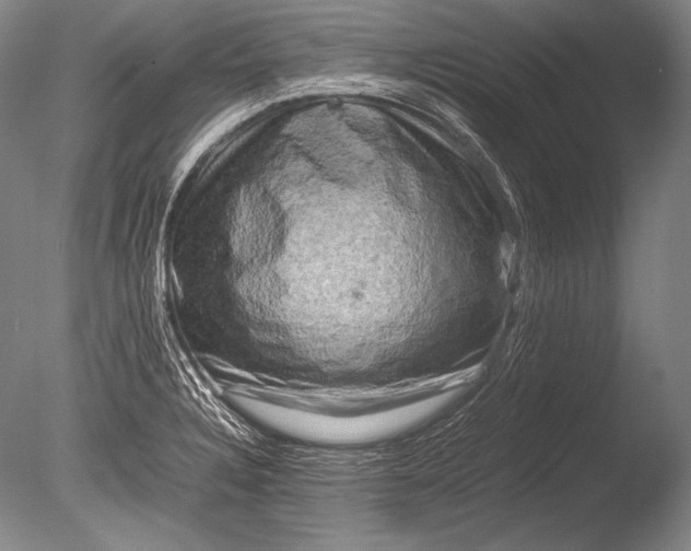 X0000085731328200703301351