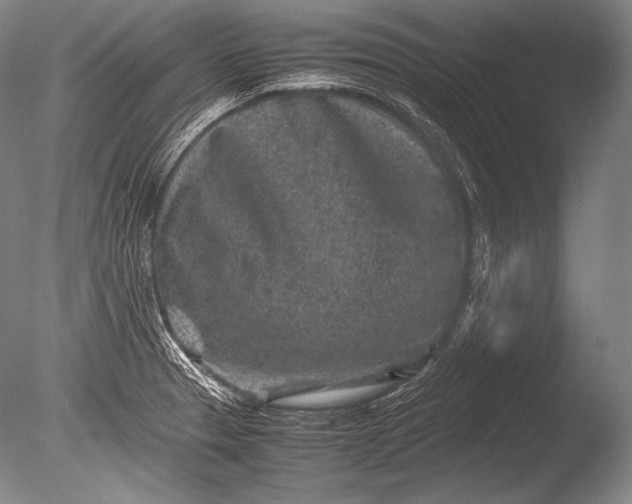 X0000085731329200703301351