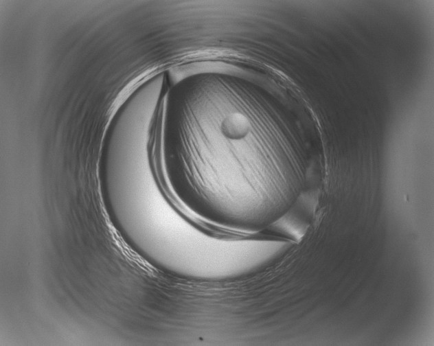 X0000085731330200703301351