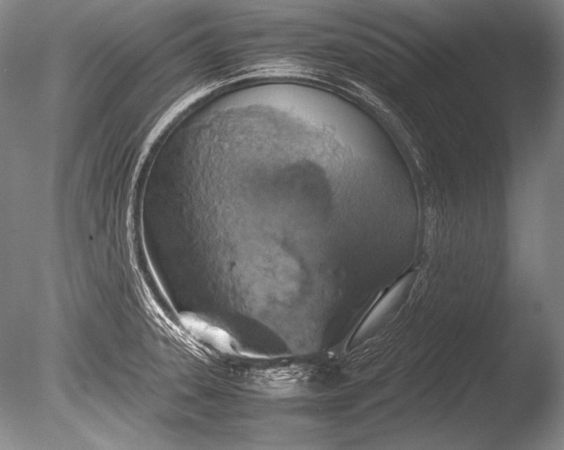 X0000085731331200703301351