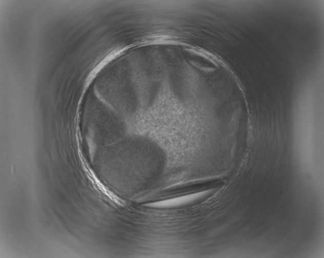 X0000085731333200703301351