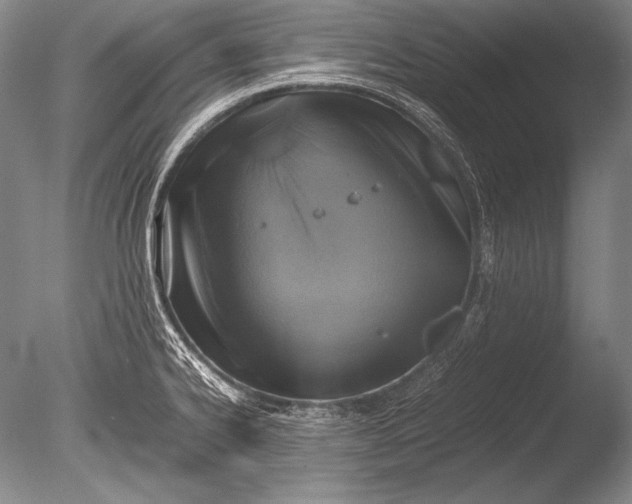 X0000085731334200703301351