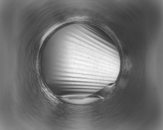 X0000085731336200703301351