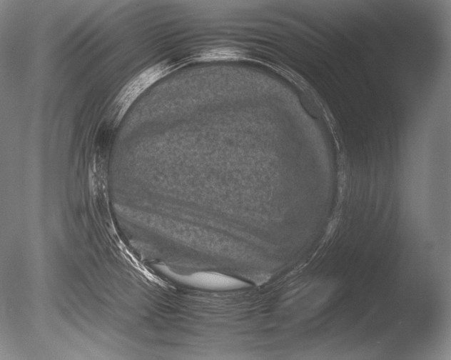 X0000085731337200703301351