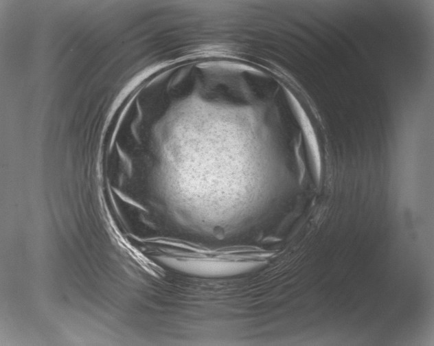 X0000085731339200703301351