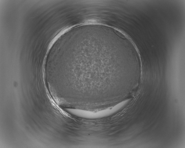 X0000085731341200703301351