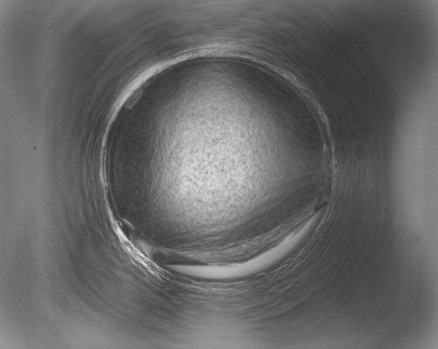 X0000085731342200703301351