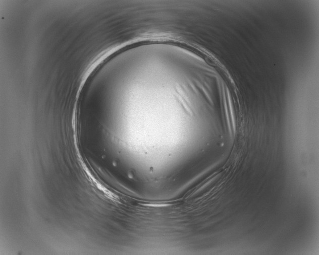 X0000085731343200703301351