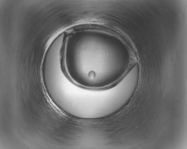 X0000085731344200703301351