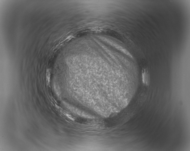 X0000085731347200703301350