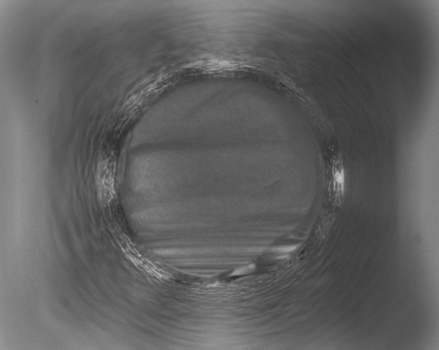 X0000085731348200703301350