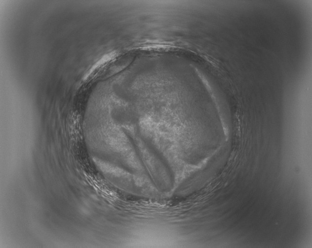 X0000085731351200703301350