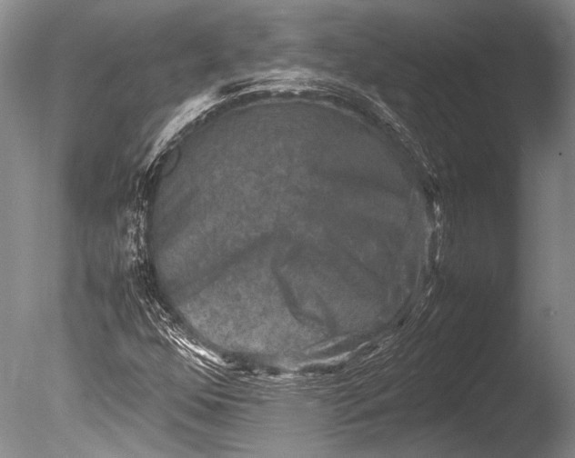 X0000085731352200703301350