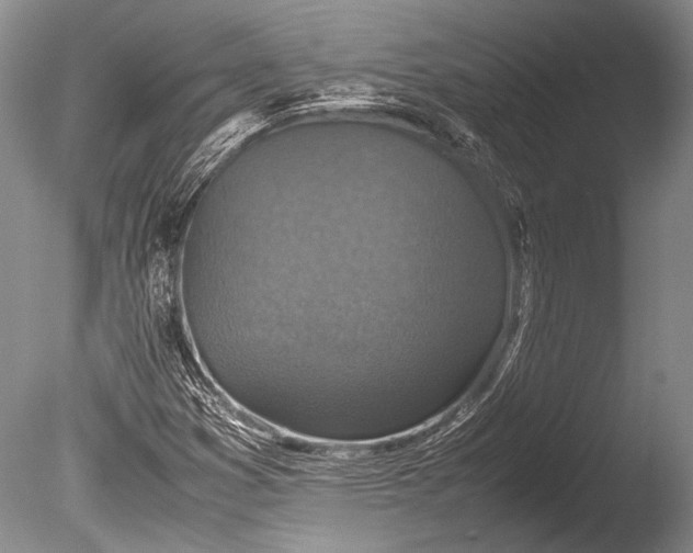 X0000085731353200703301350