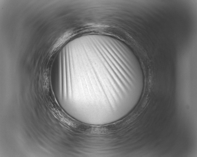 X0000085731354200703301350