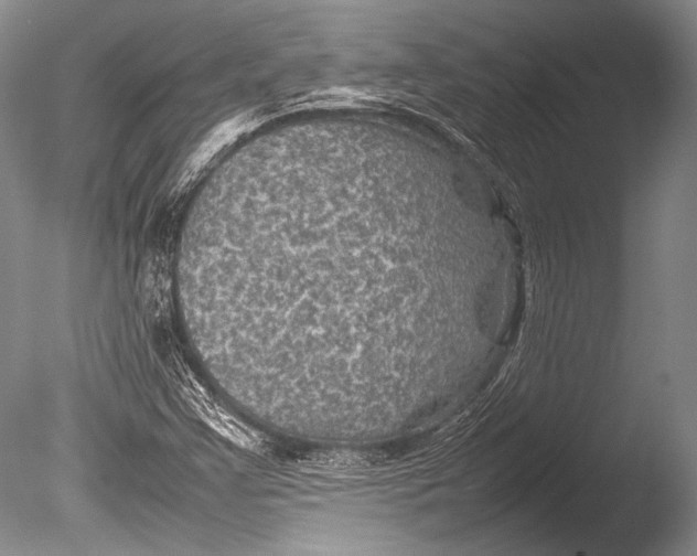 X0000085731355200703301350