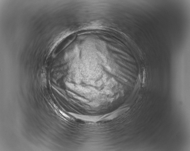 X0000085731356200703301350