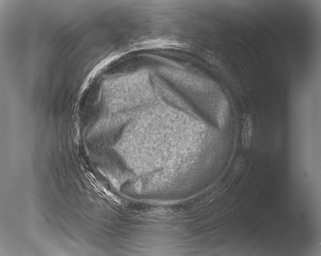 X0000085731358200703301350