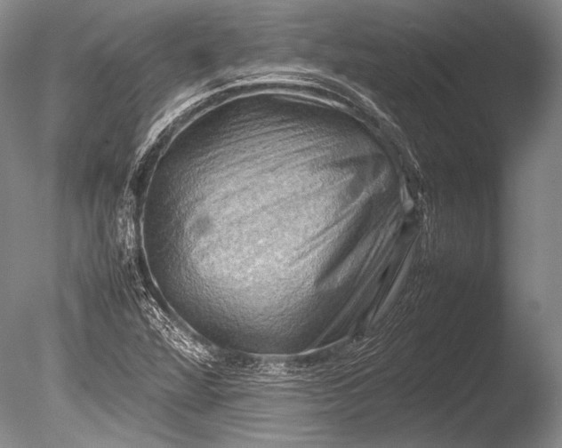 X0000085731360200703301350