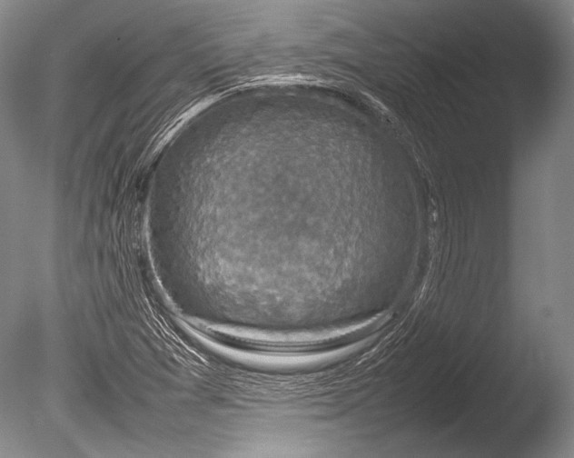 X0000085731361200703301350