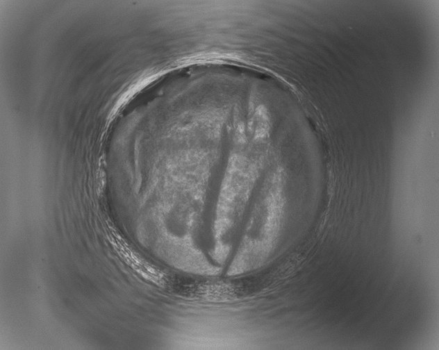 X0000085731363200703301350