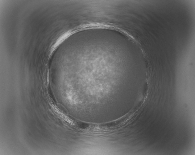 X0000085731365200703301350