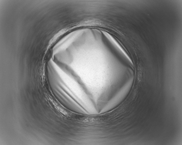 X0000085731366200703301350