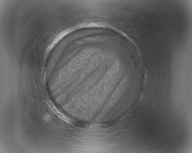 X0000085731367200703301350