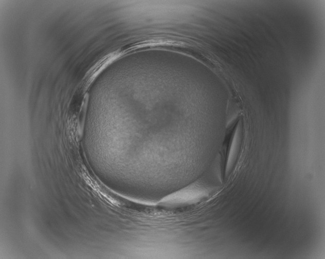 X0000085731369200703301350