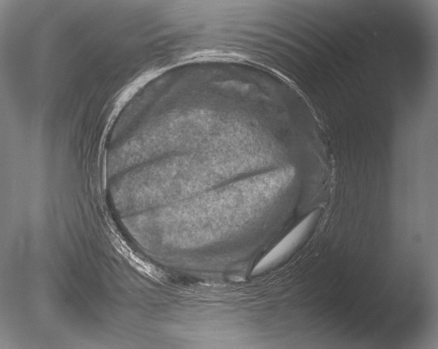 X0000085731371200703301350