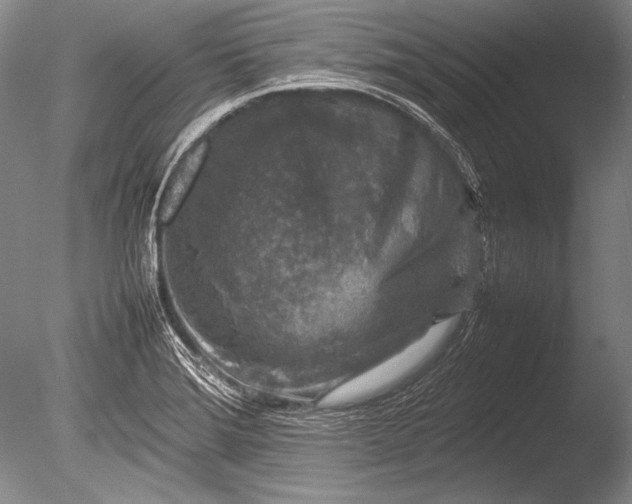 X0000085731372200703301350