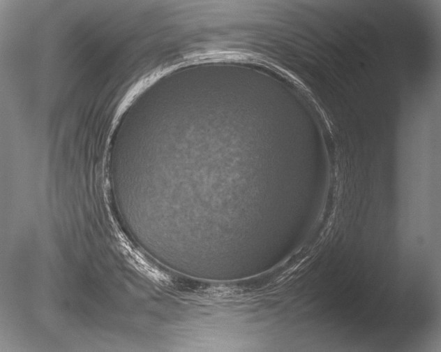 X0000085731373200703301350