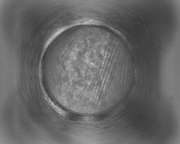 X0000085731375200703301350