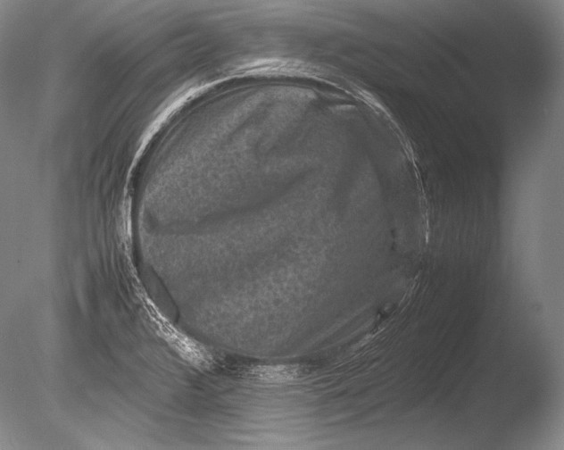 X0000085731376200703301350