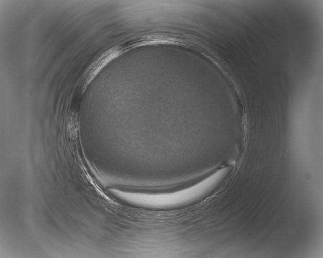 X0000085731377200703301350