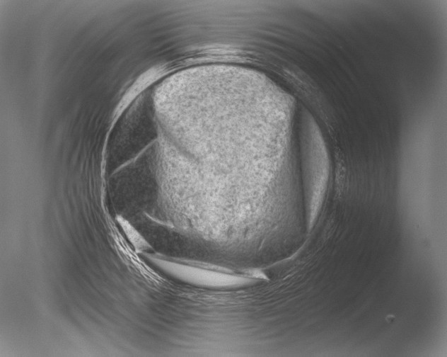 X0000085731378200703301350