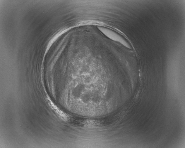 X0000085731379200703301350