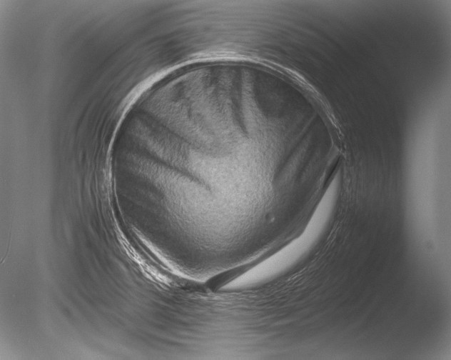 X0000085731380200703301350