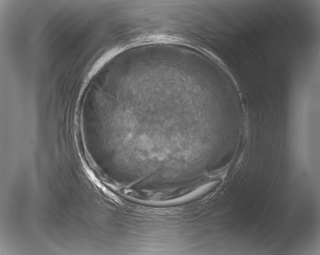 X0000085731381200703301350