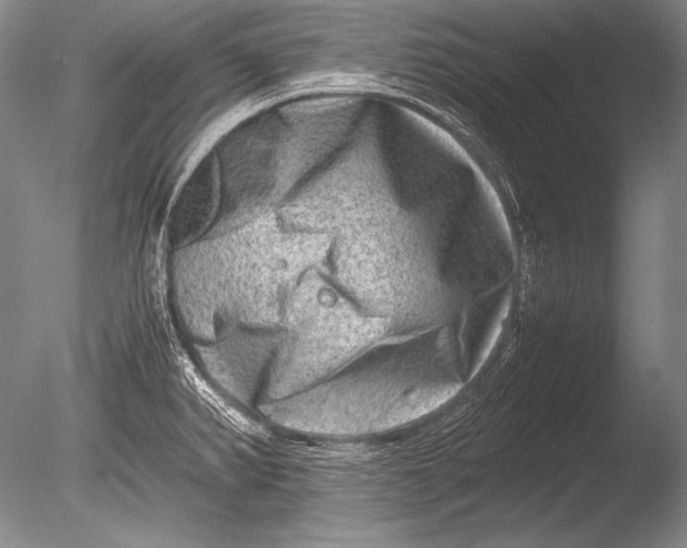 X0000085731382200703301350