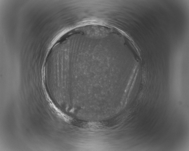 X0000085731383200703301350