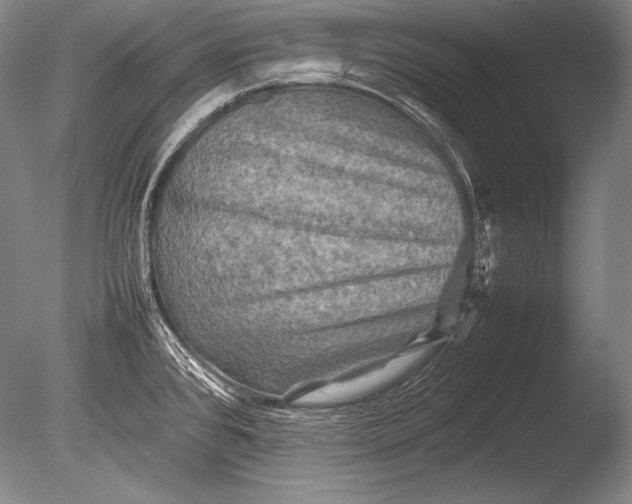 X0000085731384200703301350