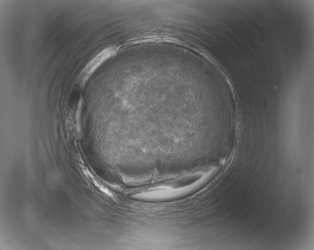 X0000085731385200703301350